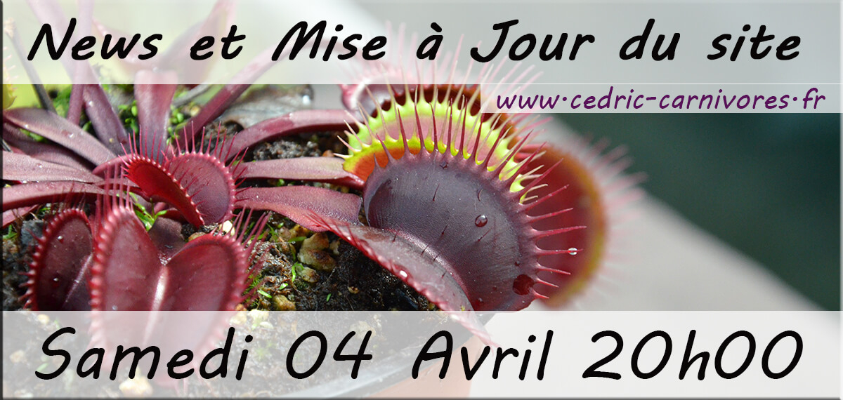 Rendez-vous Samedi 04 Avril à 20h00 pile !